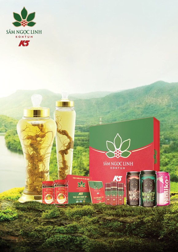 Sâm Ngọc Linh Kon Tum K5 - Sản phẩm chăm sóc sức khỏe từ thiên nhiên ảnh 3