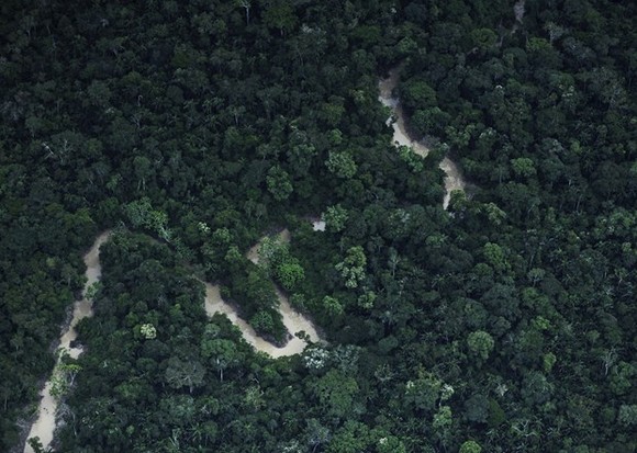 Một góc rừng Amazon nhìn từ trên cao. Nguồn: Reuters