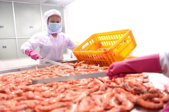 Doanh nghiệp thực phẩm: Kết nối nâng giá trị hàng Việt ảnh 1