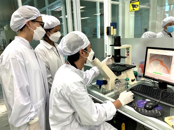 Xếp hạng giúp cải tiến chất lượng giáo dục đại học ảnh 1