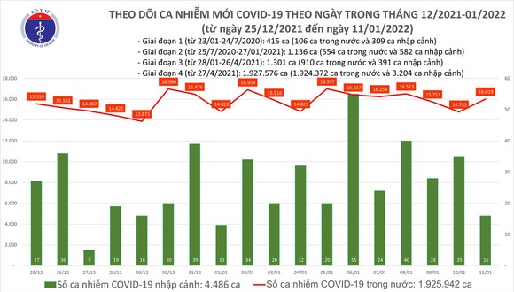 Ngày 11-11 thêm 16.035 ca mắc Covid-19 và 256 ca tử vong ảnh 1