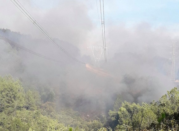 Cháy rừng tại Thừa Thiên – Huế uy hiếp đường dây 500KV ảnh 1