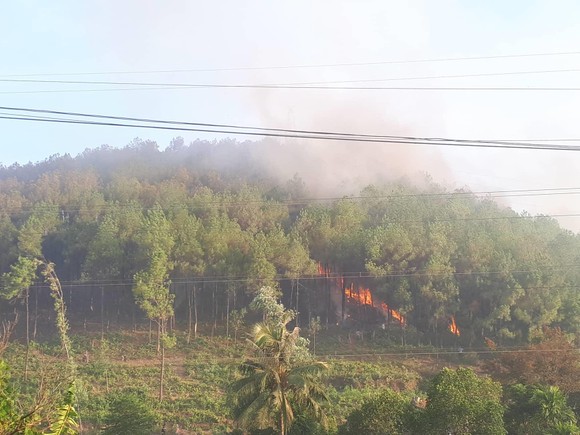 Cháy rừng tại Thừa Thiên – Huế uy hiếp đường dây 500KV ảnh 2