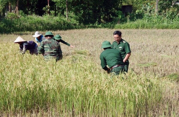 Phó Thủ tướng Trịnh Đình Dũng chỉ đạo công tác ứng phó bão số 5 tại Thừa Thiên - Huế ảnh 10