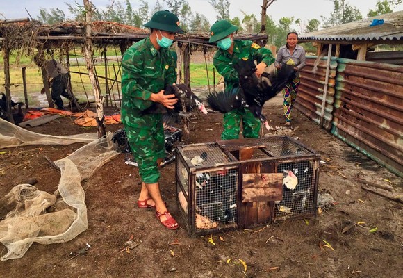 Thừa Thiên - Huế: Bão số 5 cách đất liền hàng trăm cây số, nhiều nhà dân đã tốc mái ảnh 7
