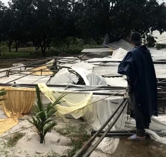 Mưa dông, lốc xoáy ở Thừa Thiên - Huế  khiến cây cối ngã đổ, hàng chục căn nhà tốc mái ảnh 5