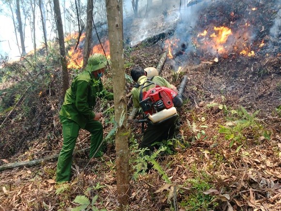Lại xảy ra cháy rừng tại Hà Tĩnh ảnh 7