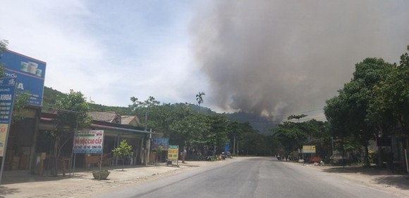 Lại xảy ra cháy rừng tại Hà Tĩnh ảnh 1