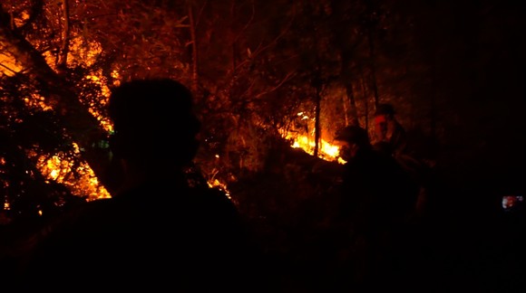 Khống chế đám cháy rừng trong đêm ở Hà Tĩnh ảnh 3
