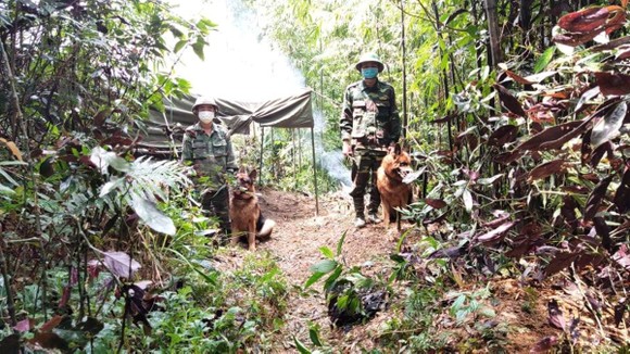 Kiểm soát chặt chẽ khu vực biên giới Việt - Lào nhằm ngăn chặn người dân vượt biên trái phép ảnh 9