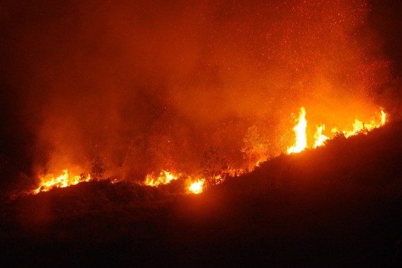 Cơ bản khống chế được đám cháy rừng ở Hà Tĩnh ảnh 10