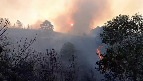 Cơ bản khống chế được đám cháy rừng ở Hà Tĩnh ảnh 3