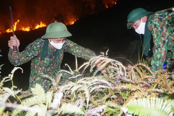 Cơ bản khống chế được đám cháy rừng ở Hà Tĩnh ảnh 16