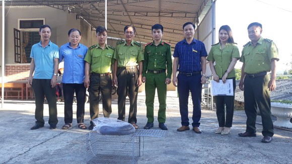 Rắn hổ mang chúa dài hơn 3m, nặng 2,6kg bò vào trường học ảnh 1