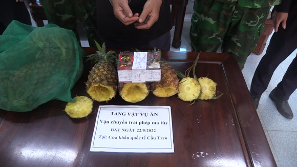 Bắt đối tượng giấu ma túy trong quả dứa vận chuyển qua biên giới ảnh 3