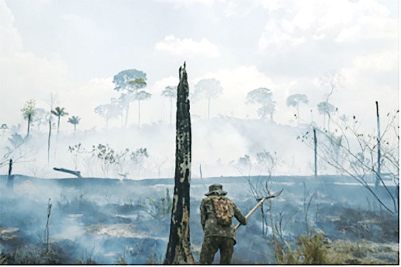 Hoạt động chữa cháy rừng ở Brazil 