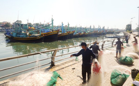 Các nghiệp đoàn nghề cá ở Bình Thuận  đang hoạt động rời rạc, kém hiệu quả