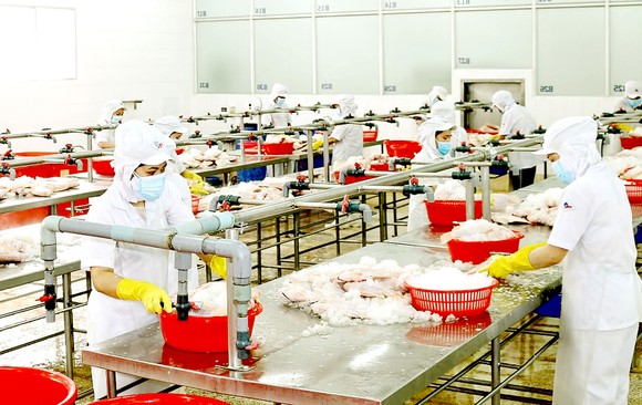 Công ty CP Kinh doanh thủy hải sản  Sài Gòn sản xuất  3 tại chỗ trong đợt dịch Covid-19 lần thứ 4