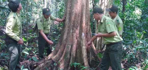 Phản hồi bài viết Băn khoăn vị trí dự kiến xây cầu Mã Đà: Nên điều chỉnh hướng tuyến tránh vùng lõi khu bảo tồn ảnh 1