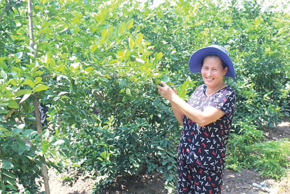 Vươn lên thoát nghèo từ Quỹ Hỗ trợ cộng đồng David Dương ảnh 5