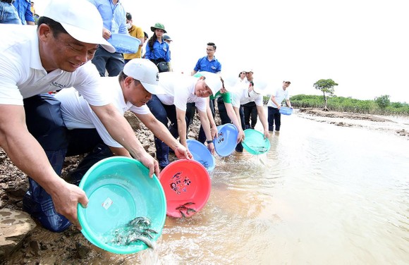 Bộ trưởng Bộ TN-MT Trần Hồng Hà và các đại biểu thả cá