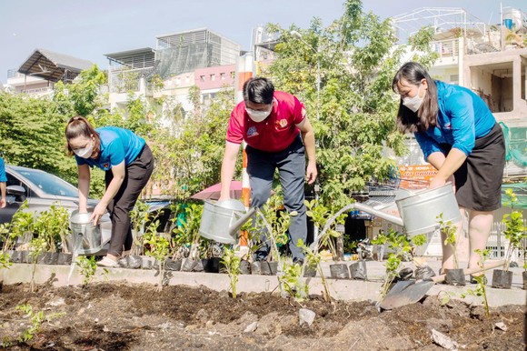 Tuổi trẻ TPHCM tham gia xây dựng văn minh đô thị ảnh 1