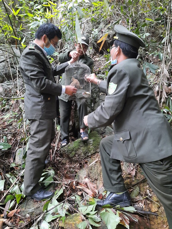 Giải cứu thú hoang ảnh 2