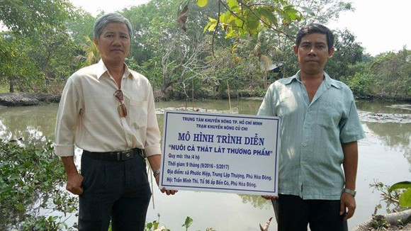 Mô hình khuyến nông “Nuôi cá thát lát thương phẩm” tại huyện Củ Chi