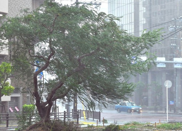 Bão Trami đổ bộ Nhật Bản, 5 người bị thương ảnh 4