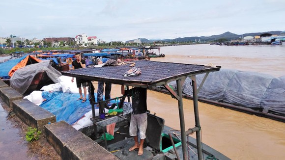 Quảng Ninh mưa to, nguy cơ cao sạt lở đất tại thành phố Móng Cái ảnh 1