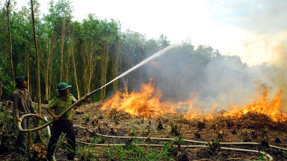Chi cục Kiểm lâm tỉnh Hậu Giang diễn tập phòng cháy, chữa cháy rừng