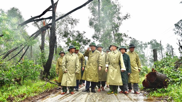 Phó Thủ tướng Trịnh Đình Dũng chỉ đạo công tác cứu hộ tại thủy điện Rào Trăng 3 ảnh 1