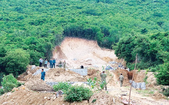 Rừng trên núi Cô Tiên (TP Nha Trang) bị chặt phá trái phép để phân lô bán nền. Ảnh: VĂN NGỌC