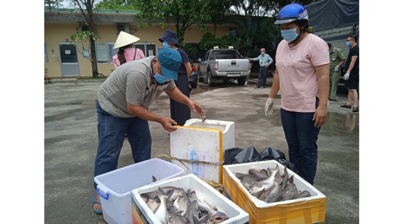 Anh Lê Văn Hải và chị Nguyễn Thị Kim Oanh nhận các thùng hải sản từ Quảng Bình chuyển tặng bà con TPHCM