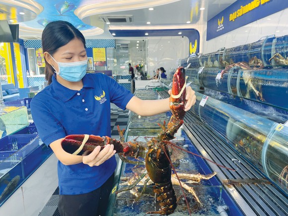 Nông, thủy sản ngoại nhập lấn 'sân nhà' ảnh 1
