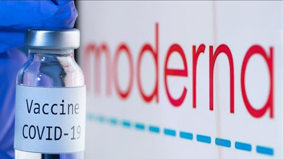 Moderna xin cấp phép tiêm vaccine mũi 4 cho người trên 18 tuổi