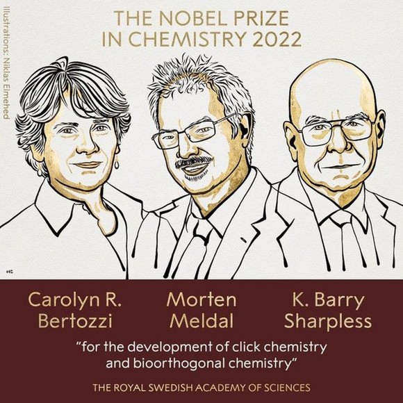 Giải Nobel Hóa học 2022 vinh danh 3 nhà khoa học Mỹ và Đan Mạch ảnh 1