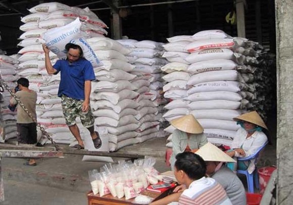 Gạo xuất khẩu của Việt Nam phải cạnh tranh với nhiều đối thủ.