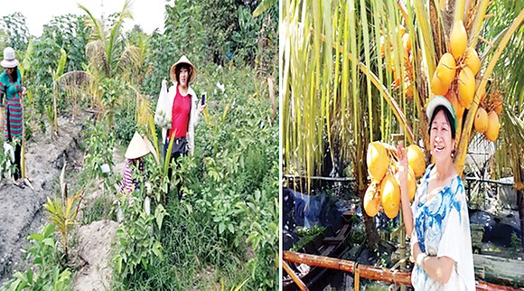 Đi hái trái cây, rau vườn các loại ở Sài Gòn ảnh 1