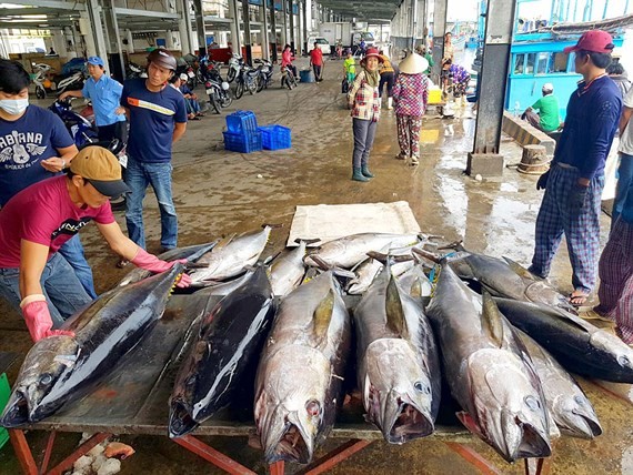 EC ra điều kiện rút “thẻ vàng” cho thủy sản Việt Nam ảnh 1