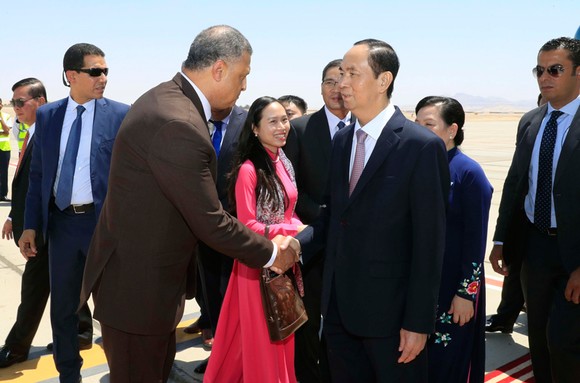 Chủ tịch nước Trần Đại Quang thăm cấp Nhà nước Ai Cập: Đưa quan hệ Việt Nam - Ai Cập lên tầm cao mới ảnh 1