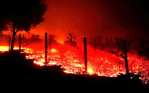 Cháy rừng lịch sử ở California, ít nhất 42 người chết ảnh 1