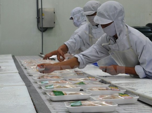 Công nhân dán nhãn mác lên các hộp đựng thịt gà xuất khẩu. Ảnh: TTXVN