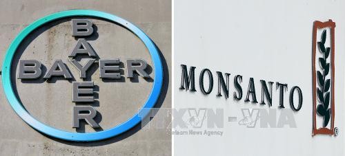 Bayer, Monsanto hoàn tất thương vụ sáp nhập lịch sử