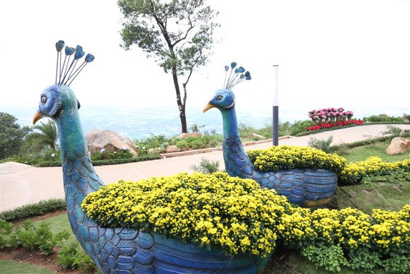 Trung thu đáng nhớ trên nóc nhà Nam bộ với combo vé cáp treo giảm giá tới 25% ảnh 1