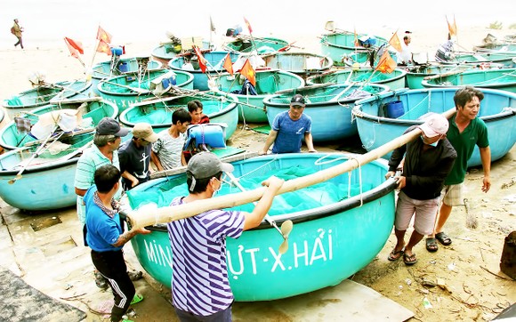 Ngư dân xã biển Xuân Hải (thị xã Sông Cầu, Phú Yên) di dời thuyền thúng để tránh bão. Ảnh: NGỌC OAI
