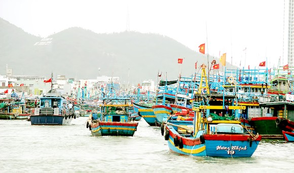 Bão số 9 áp sát Nam và Trung Trung bộ: Sẵn sàng sơ tán người dân đến nơi an toàn ảnh 1