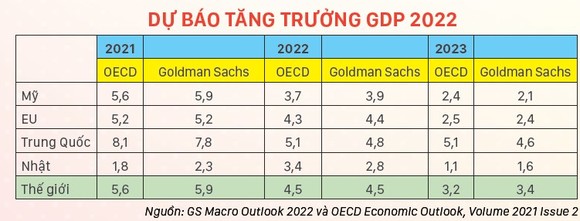 Dòng tiền thế giới chảy về đâu trong năm 2022? ảnh 2