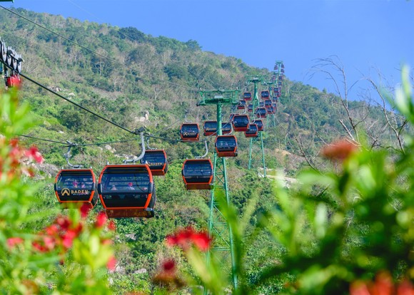 Hàng trăm ngàn du khách nô nức lên ngắm hoa tulip lần đầu xuất hiện trên đỉnh Núi Bà Tây Ninh ảnh 3