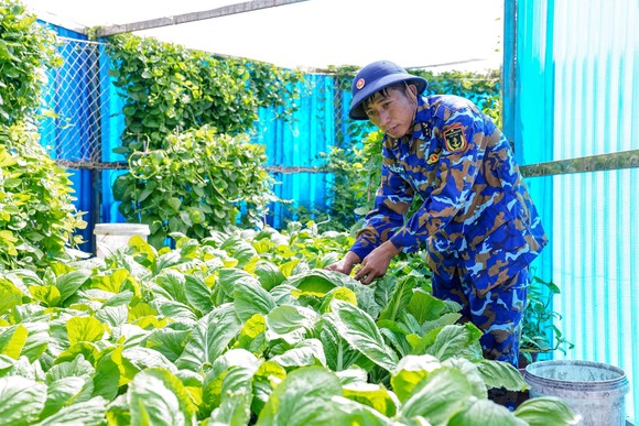Sức sống Trường Sa ảnh 5
